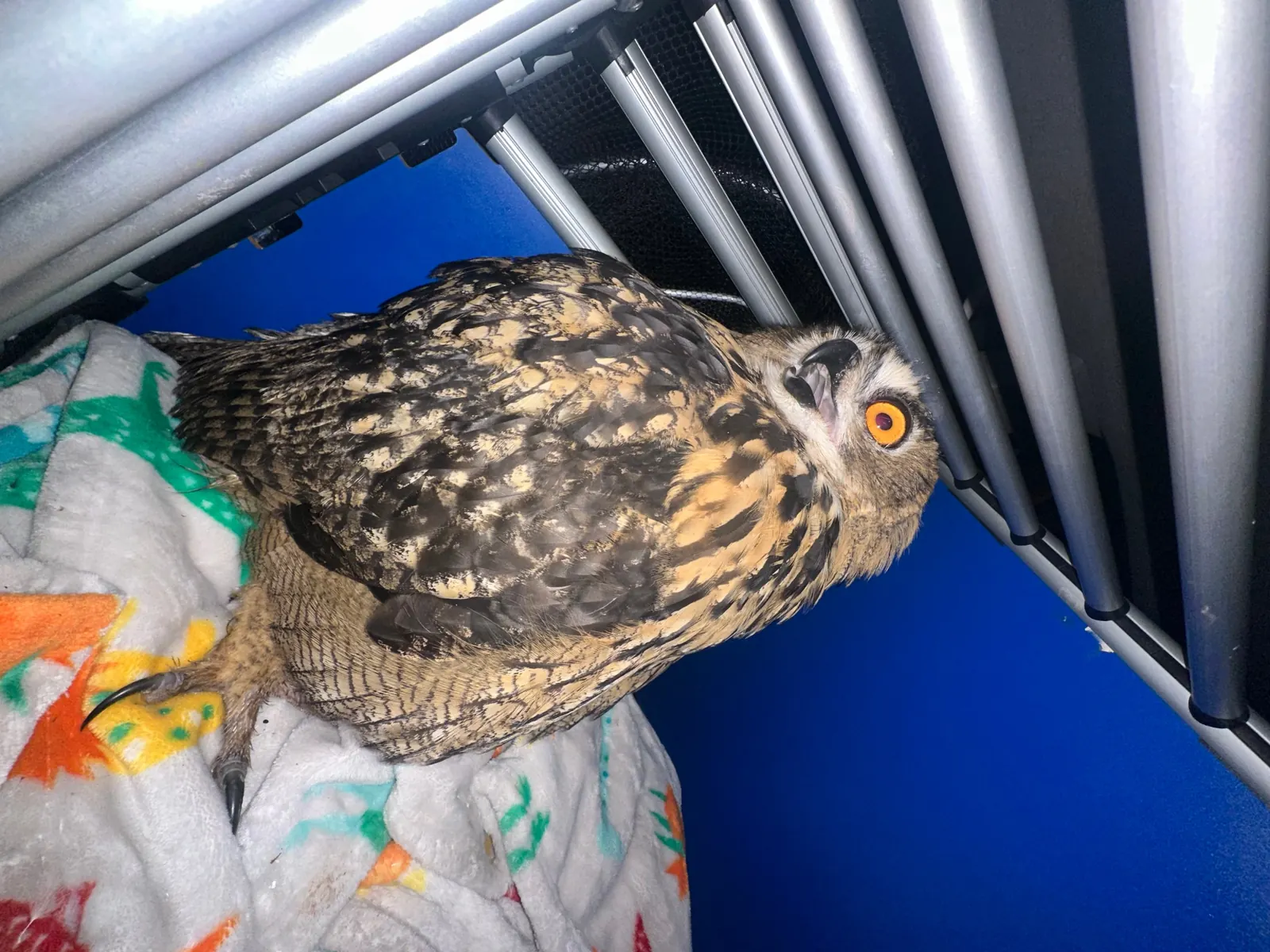 Team des Tiernotrufs vor dem Einsatzfahrzeug