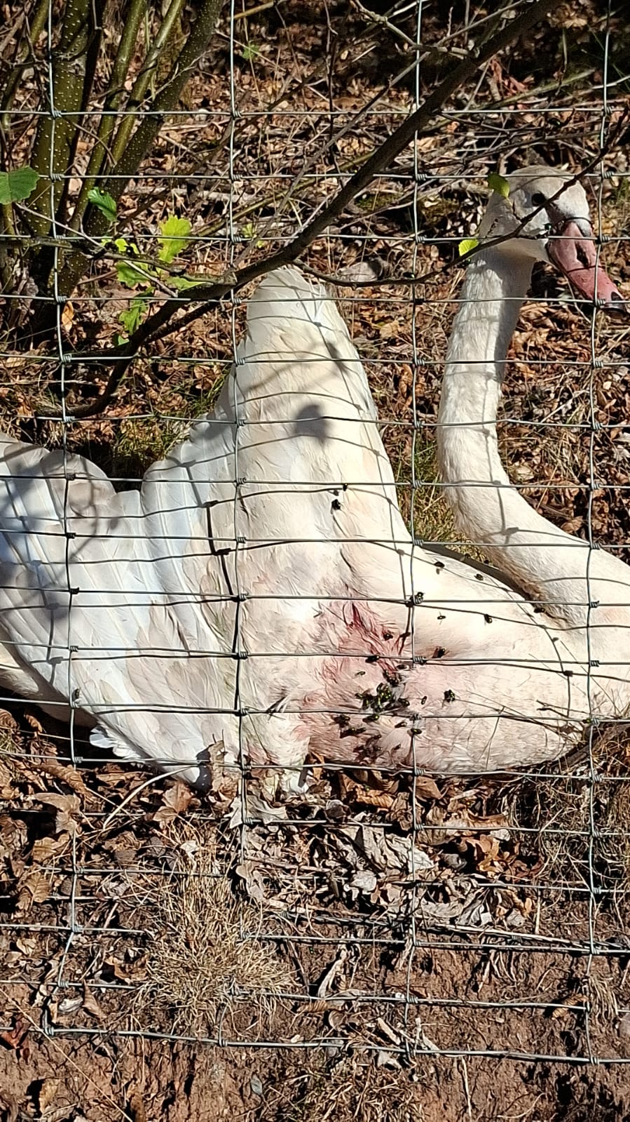 Bild aus dem Einsatzprotokoll