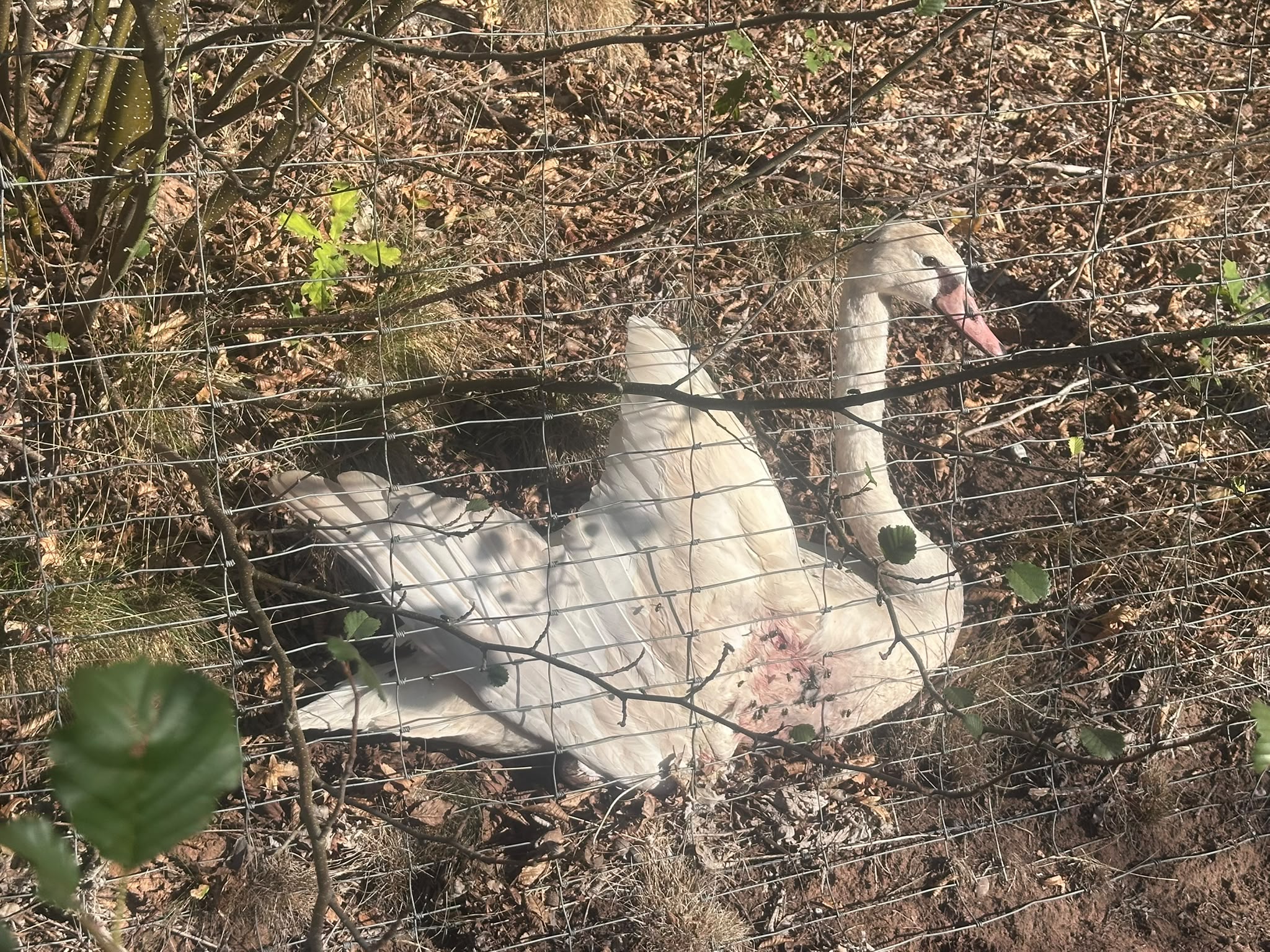 Bild aus dem Einsatzprotokoll