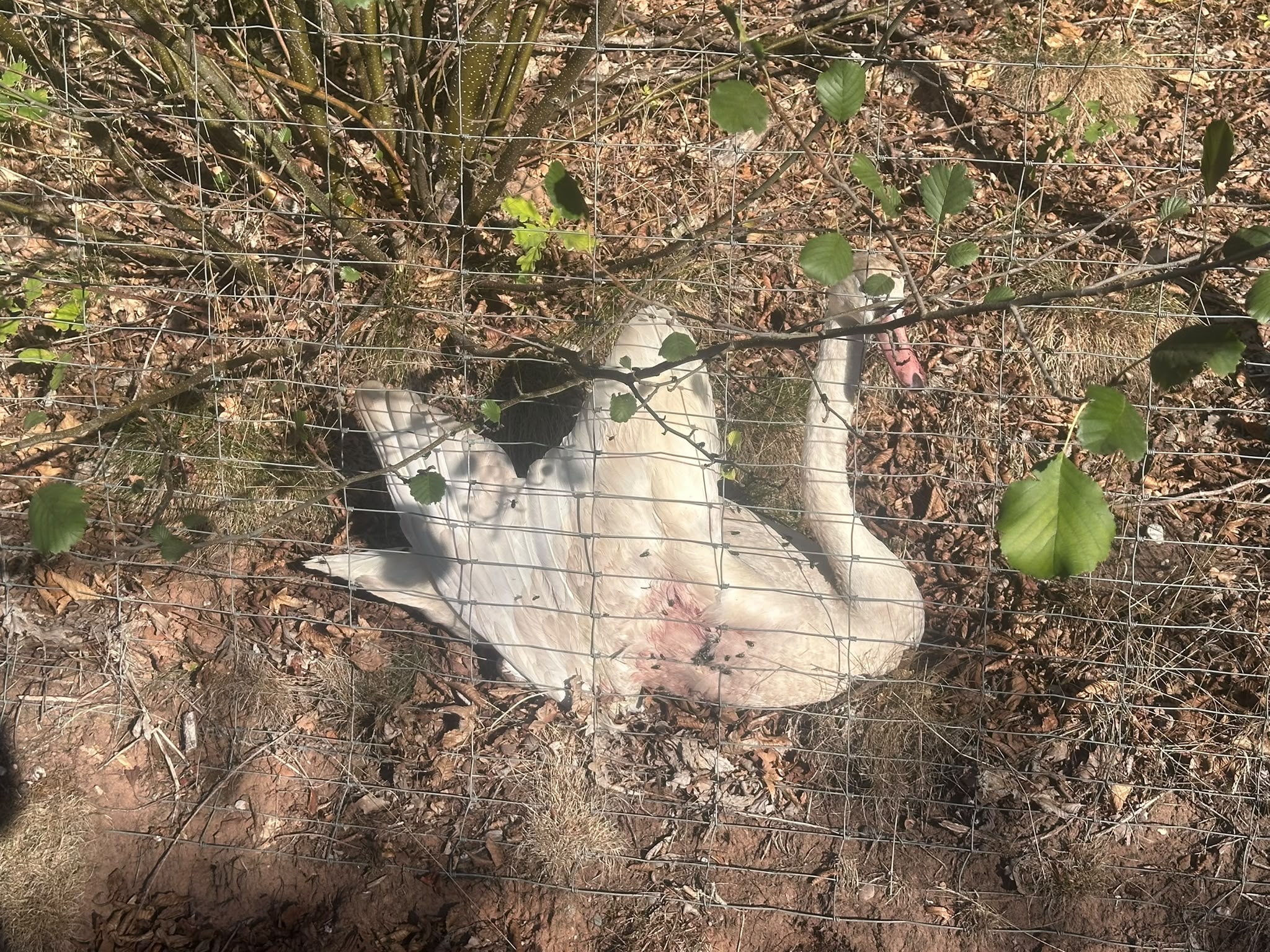 Bild aus dem Einsatzprotokoll
