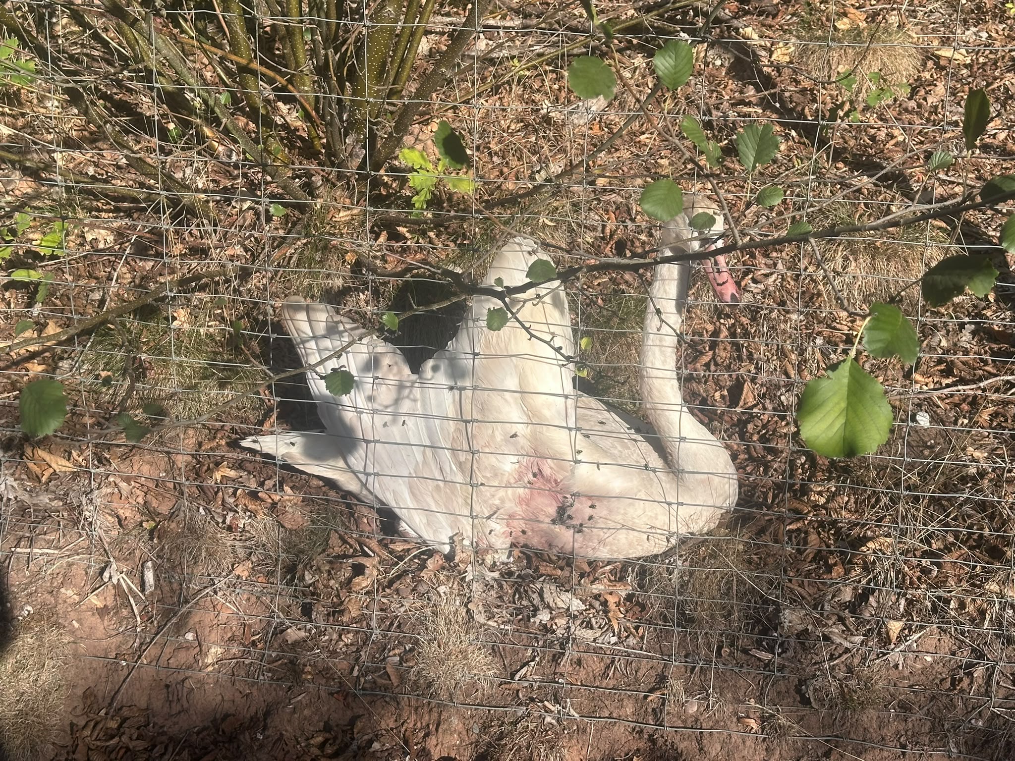 Bild aus dem Einsatzprotokoll