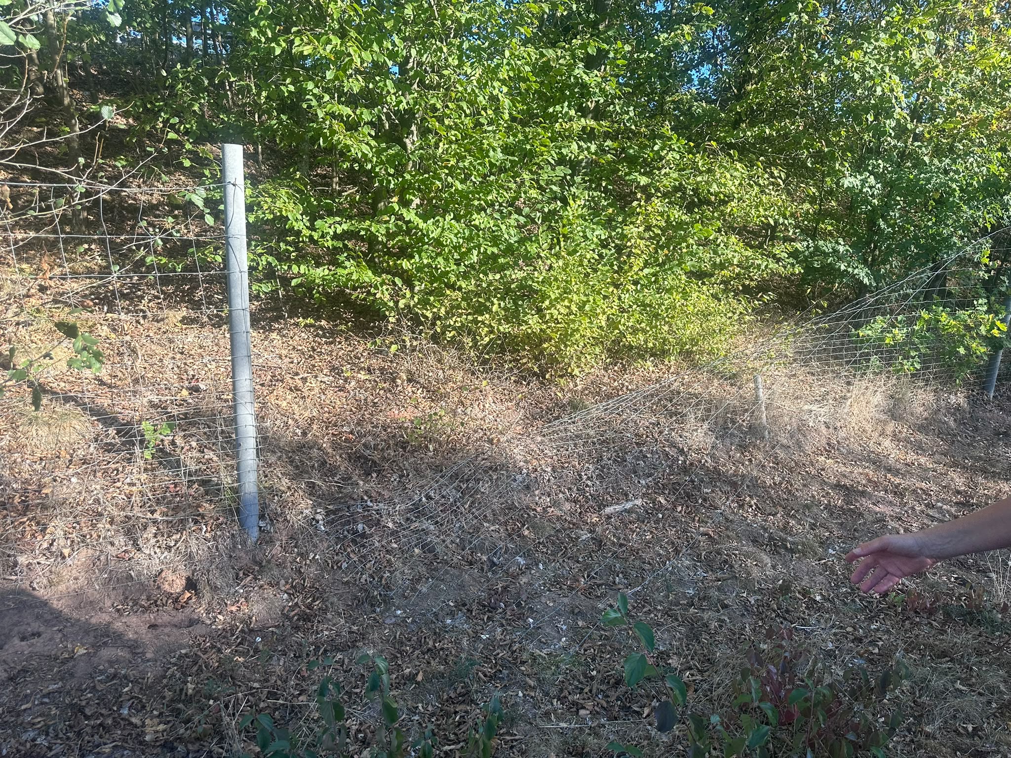 Bild aus dem Einsatzprotokoll