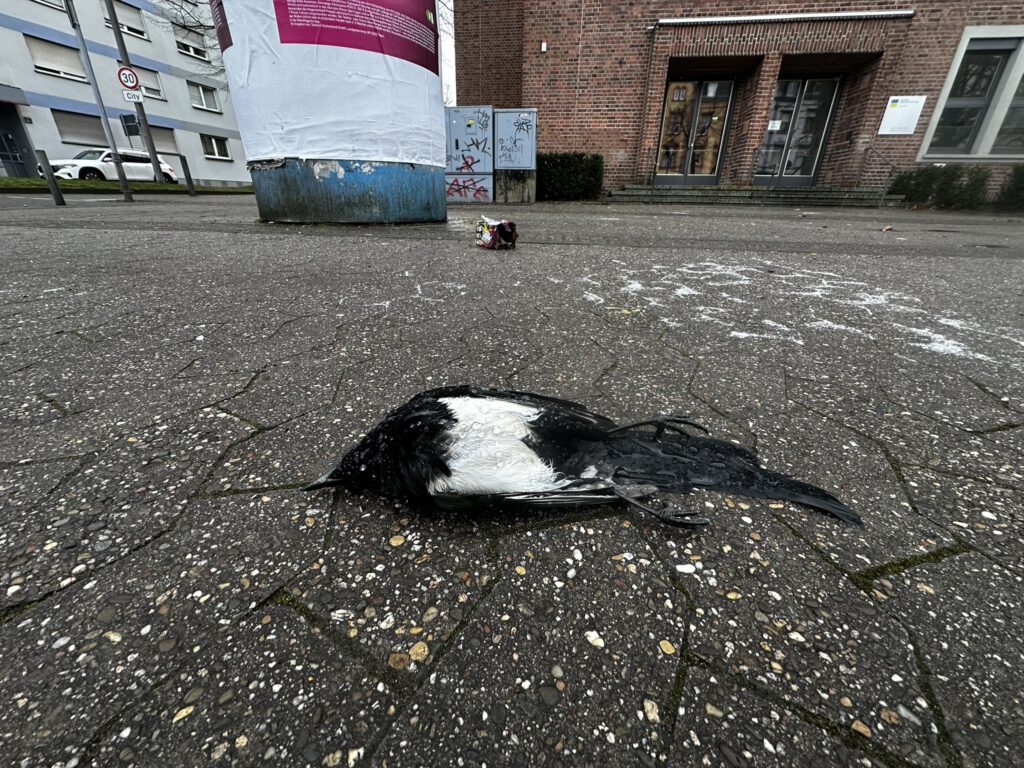 Jahreswechselbilanz 31.12.2025 / 01.01.2026