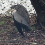 WhatsApp Image 2026-01-12 at 10.09.56