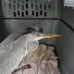 WhatsApp Image 2026-01-12 at 13.02.00