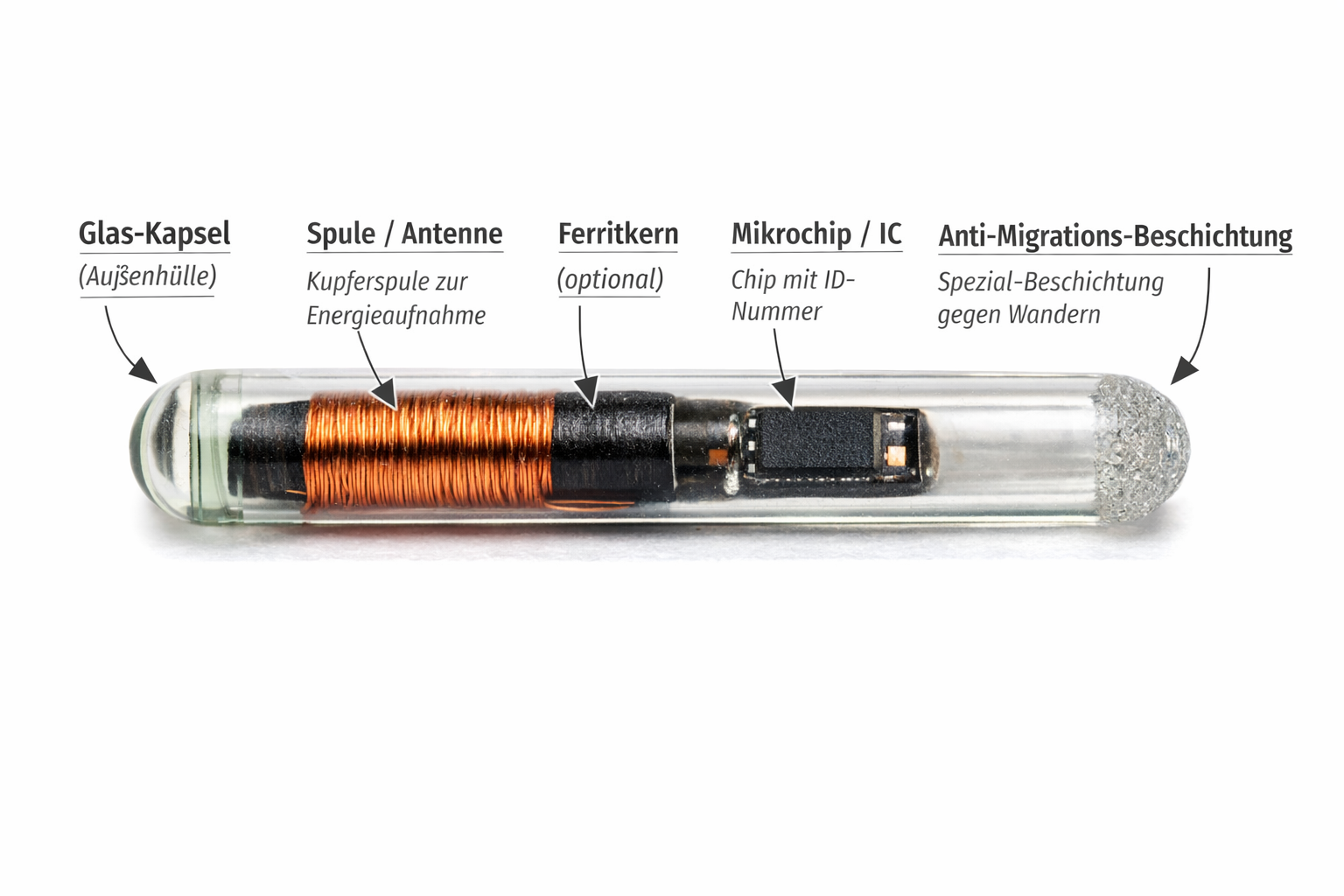 ChatGPT Image 2. März 2026, 11_38_33